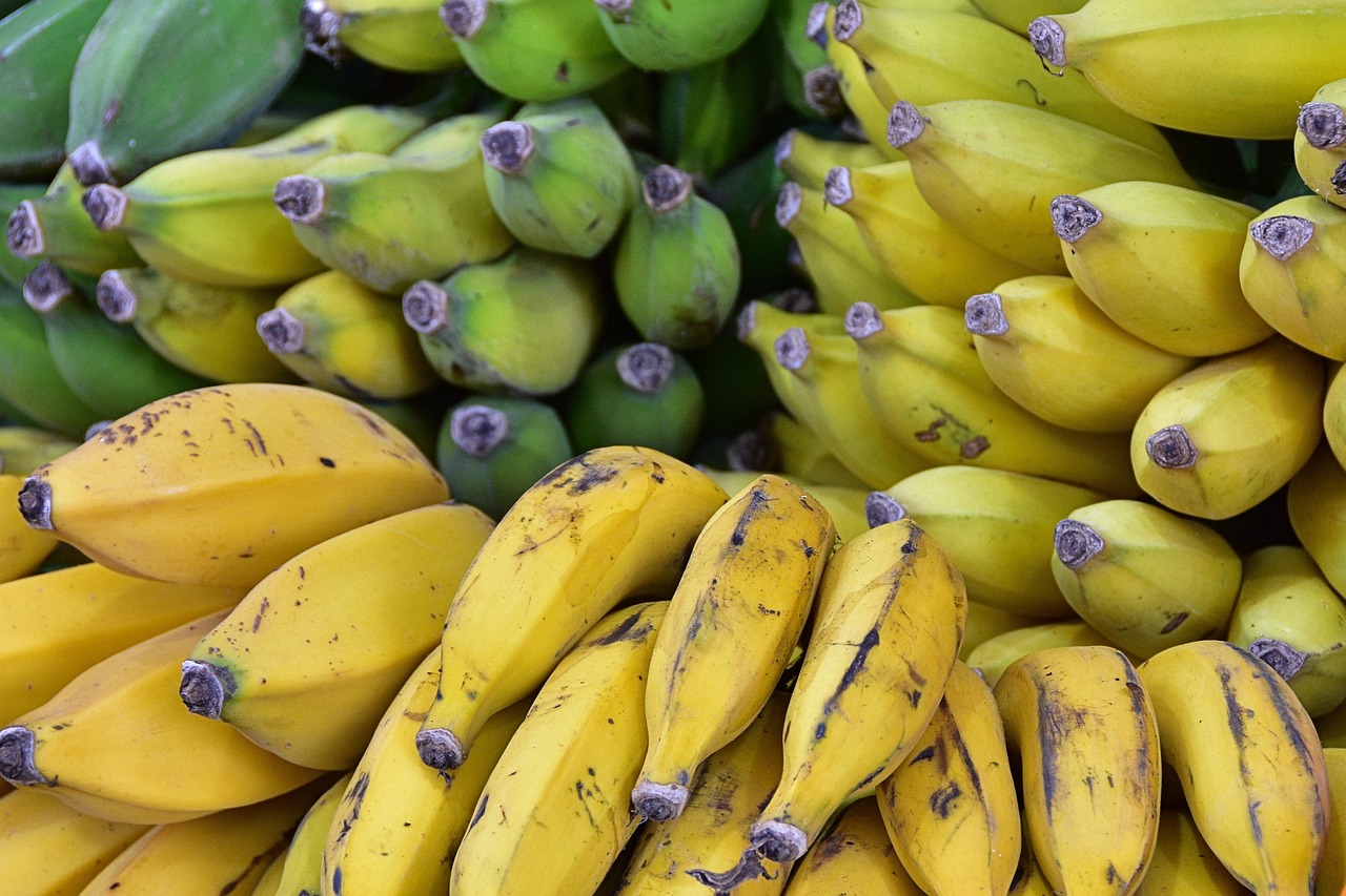 bananas, ripe, fruit, market, yellow, green, fruit, fruit, fruit, fruit, fruit