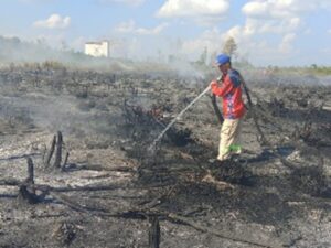 Sepanjang 2025, 77 Kasus Karhutla Terjadi di Palangka Raya: Jekan Raya Paling Terdampak